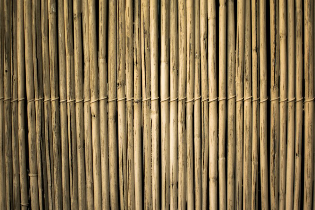 bamboe producten